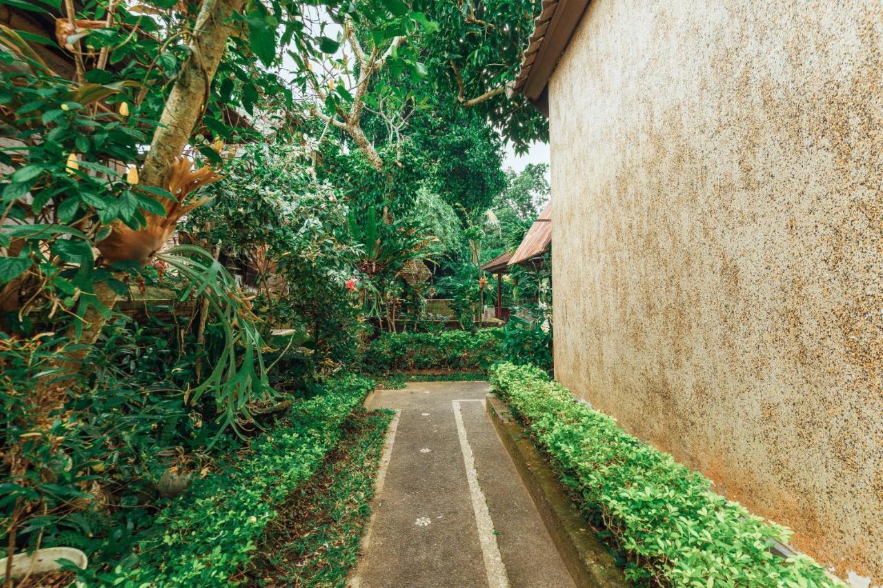 Suastika Lodge ウブド エクステリア 写真